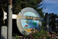 Bar Anticipation - Belmar